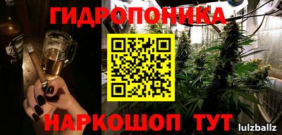 прущие крисы Будённовск