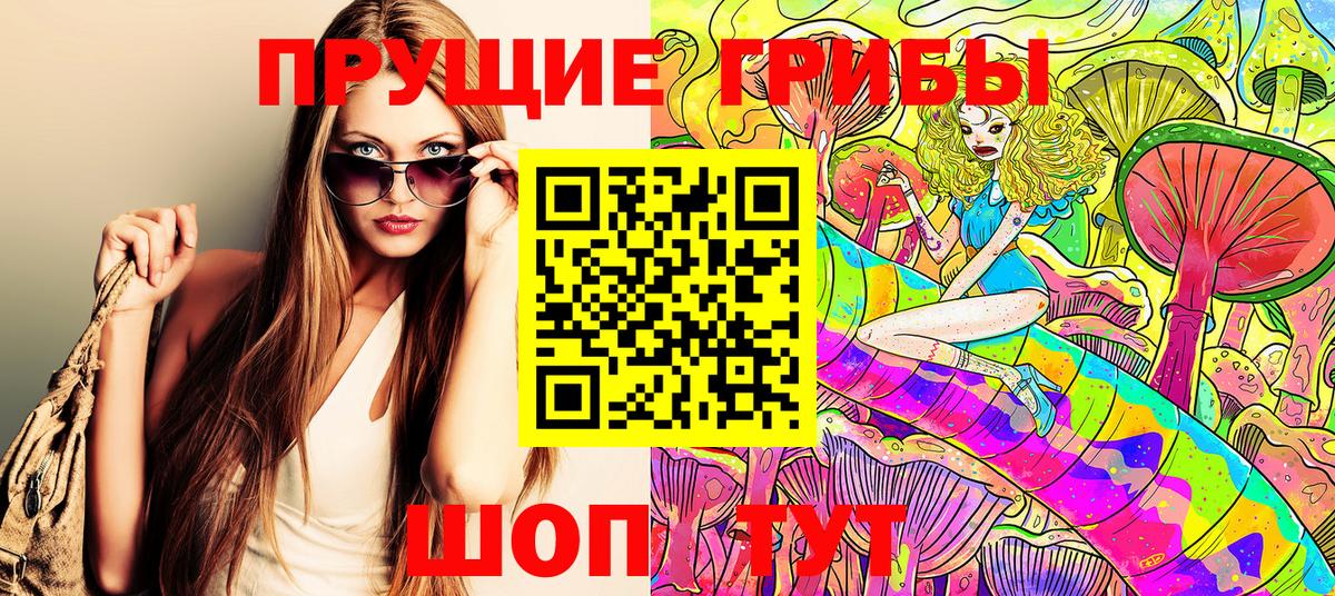 Камень-на-Оби  Галлюциногенные грибы MAGIC MUSHROOMS  Вход с VPN 